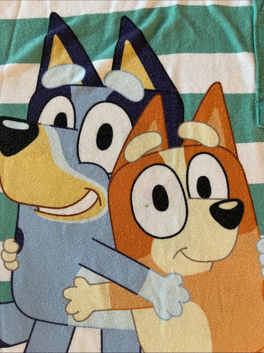 Little Sleepies Bluey & bingo shirt 4T
